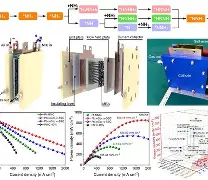 娉曞褓椤鹃梾-九游体育app